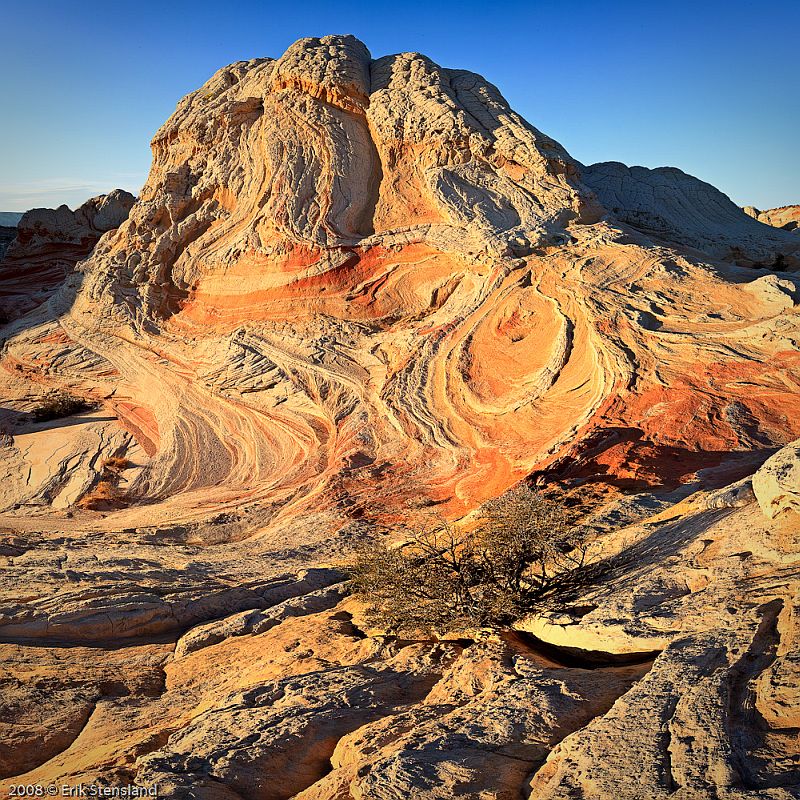 Bush and Swirls swirls, rock, desert, large, sunset